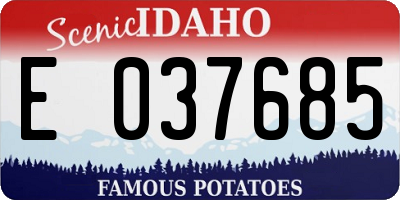 ID license plate E037685