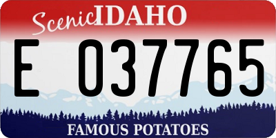 ID license plate E037765