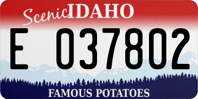 ID license plate E037802