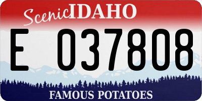 ID license plate E037808