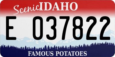 ID license plate E037822