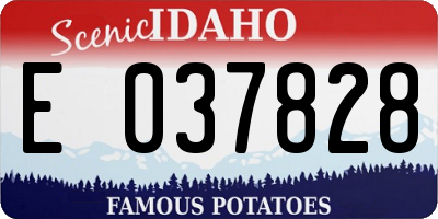 ID license plate E037828