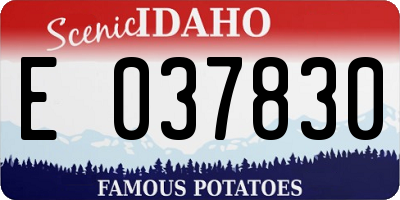 ID license plate E037830