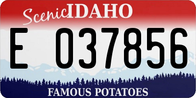 ID license plate E037856