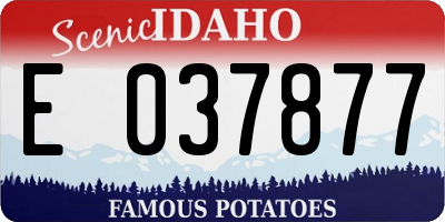 ID license plate E037877