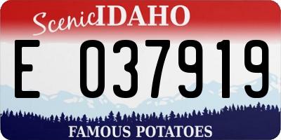 ID license plate E037919
