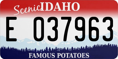 ID license plate E037963