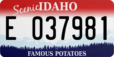 ID license plate E037981