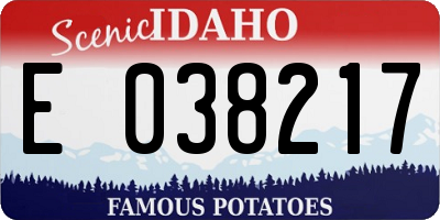 ID license plate E038217