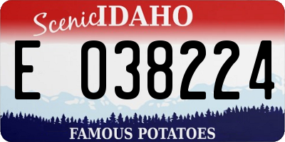 ID license plate E038224