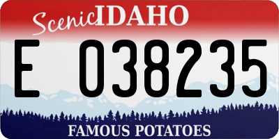 ID license plate E038235