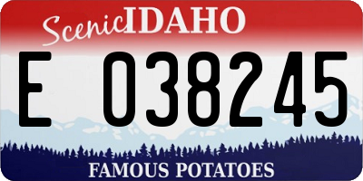 ID license plate E038245