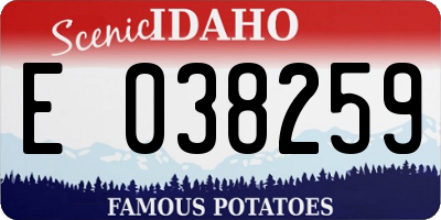 ID license plate E038259