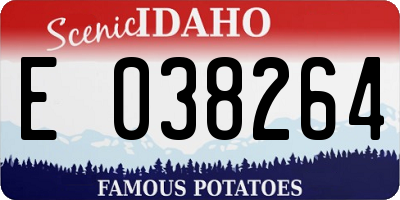 ID license plate E038264