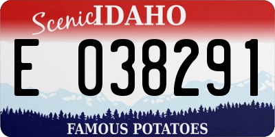 ID license plate E038291