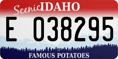 ID license plate E038295