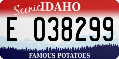 ID license plate E038299