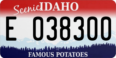 ID license plate E038300
