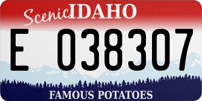 ID license plate E038307