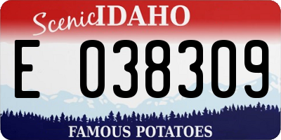 ID license plate E038309
