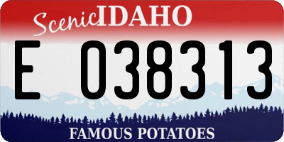 ID license plate E038313