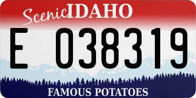 ID license plate E038319