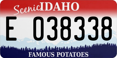 ID license plate E038338