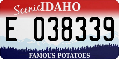 ID license plate E038339