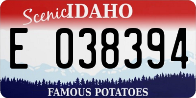 ID license plate E038394