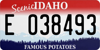 ID license plate E038493