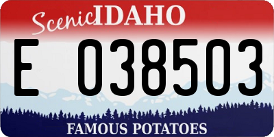 ID license plate E038503