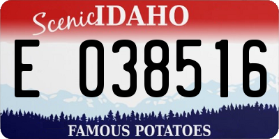 ID license plate E038516