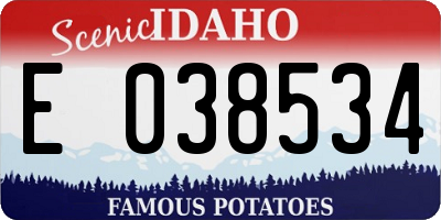 ID license plate E038534