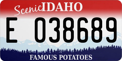 ID license plate E038689