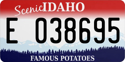ID license plate E038695