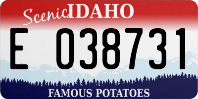 ID license plate E038731