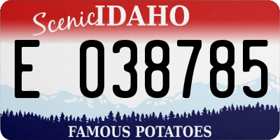 ID license plate E038785