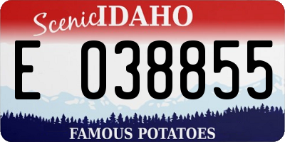 ID license plate E038855
