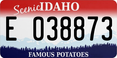 ID license plate E038873