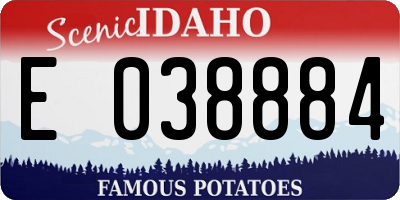 ID license plate E038884