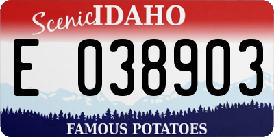 ID license plate E038903