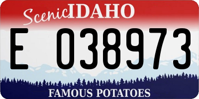 ID license plate E038973