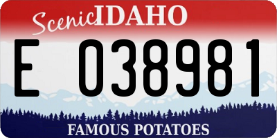 ID license plate E038981