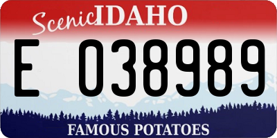 ID license plate E038989