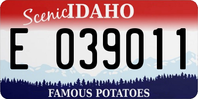 ID license plate E039011