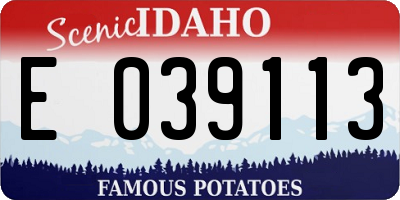ID license plate E039113