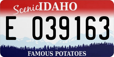 ID license plate E039163