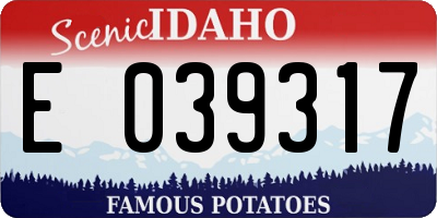 ID license plate E039317