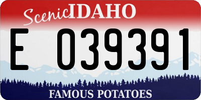 ID license plate E039391