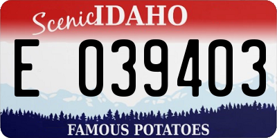ID license plate E039403